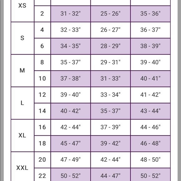 Black Sheer Long Sleeve Top size 8 Brand New - Picture 7 of 7